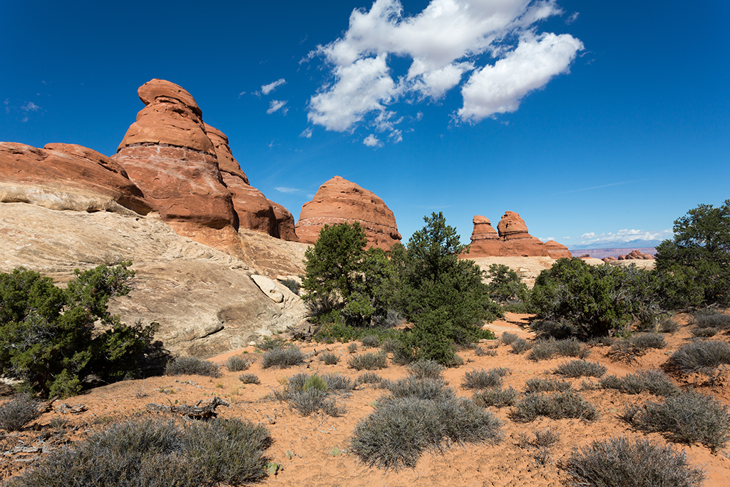 10-11 - 06.jpg - Canyonlands National Park, Needles District